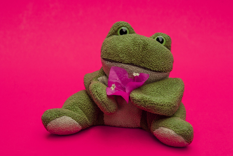 fred_the_frog_wih_bougainvillea