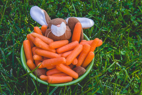 rabbit_covered_in_carrots